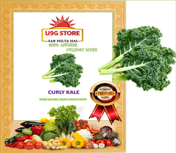 curly-kale
