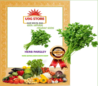 herb-parsley